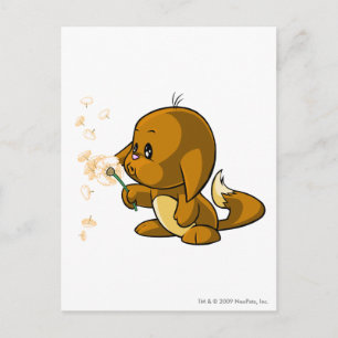 Kacheek Brown Postkarte