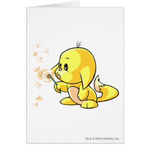 Kacheek Gelb