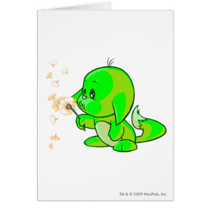Kacheek Glühen