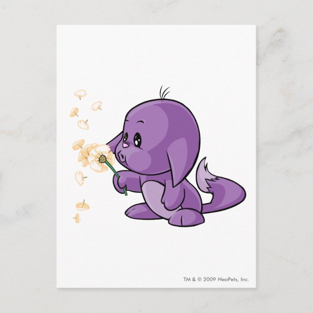 Kacheek Lila Postkarte (Vorderseite)