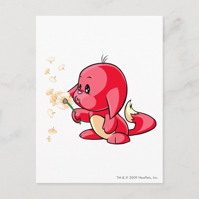 Kacheek Red Postkarte (Vorderseite)