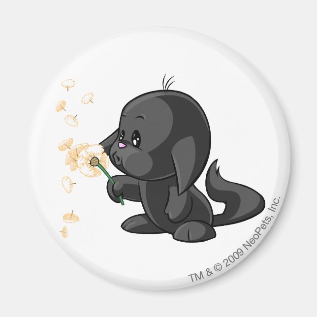 Kacheek Shadow Magnet (Vorne)