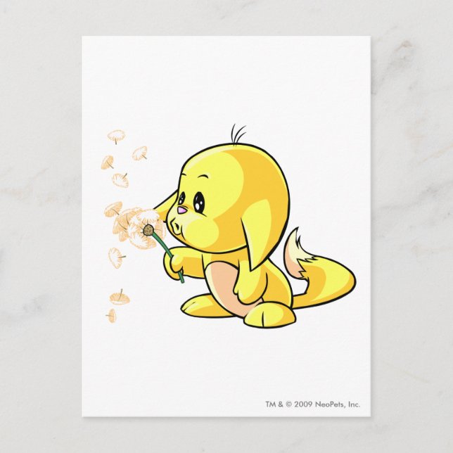 Kacheek Yellow Postkarte (Vorderseite)