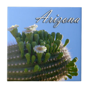 Kachel, Arizona Saguaro-Kaktus-Foto Fliese