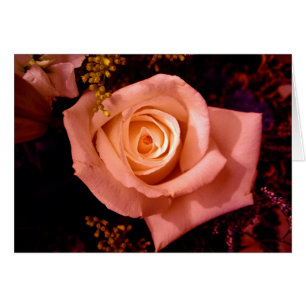 Kacies Rose