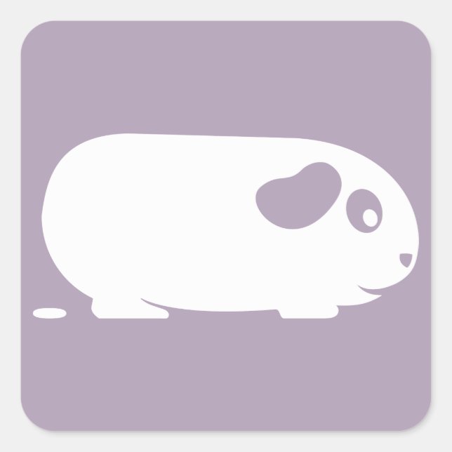 Kackend Guinea Schweinekleber Quadratischer Aufkleber (Vorderseite)