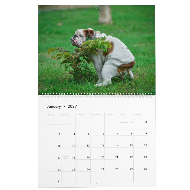 Kackend Hunde Kalender 2023, Hunde (Jan 2027)