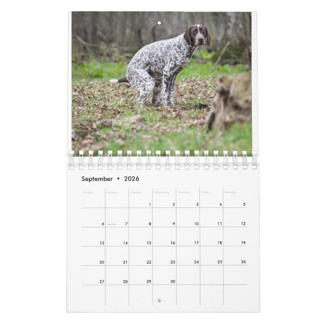 kackend Hunde-Kalender 2023 Kalender (Sep 2026)