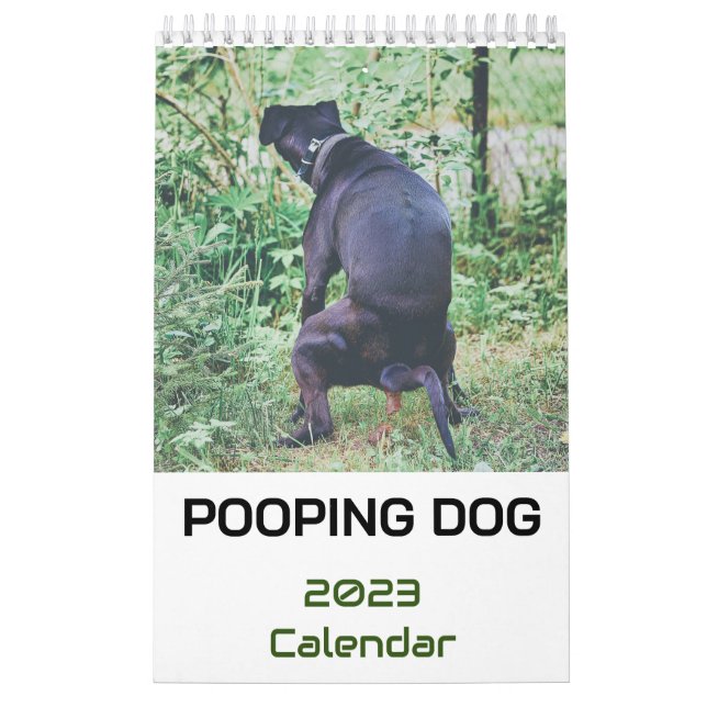 Kackend Hundekalender 2023 Kalender (Titelbild)