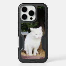Kackend Katze