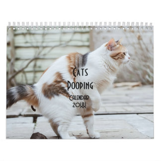 Kackend Katzen-Kalender 2026 Kalender