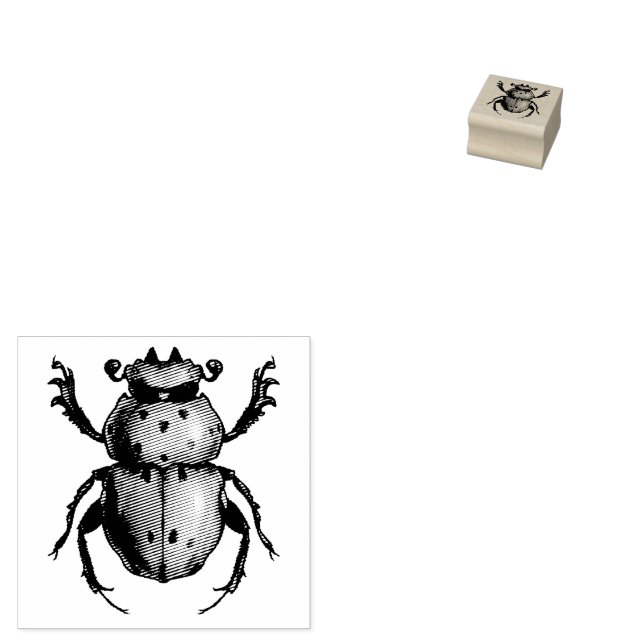 Käfer Art Entomologie Insektenkruste Briefmarke Gummistempel (Stempel)