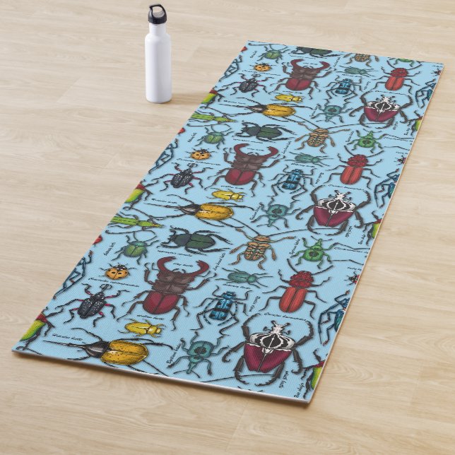 Käfer auf blau yogamatte (Beispiel)