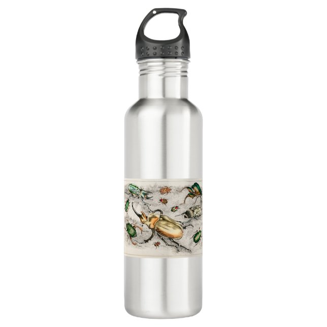 Käfer Edelstahlflasche (Vorderseite)