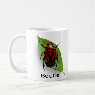 Käfer in Blättern, Insekten Kaffeetasse