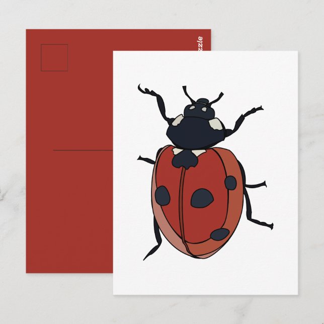 Käfer Insect Ladybug Käfer Postkarte (Vorne/Hinten)