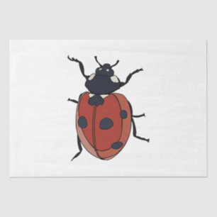Käfer Insect Ladybug Käfer Seidenpapier