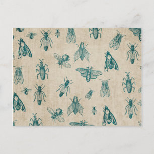 Käfer Insekten Muster Hintergrund Postkarte