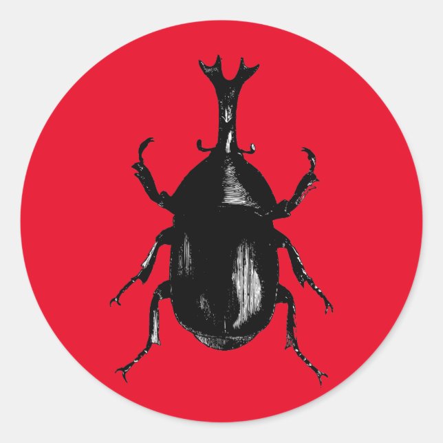 Käfer-Insektenkäfer Runder Aufkleber (Vorderseite)