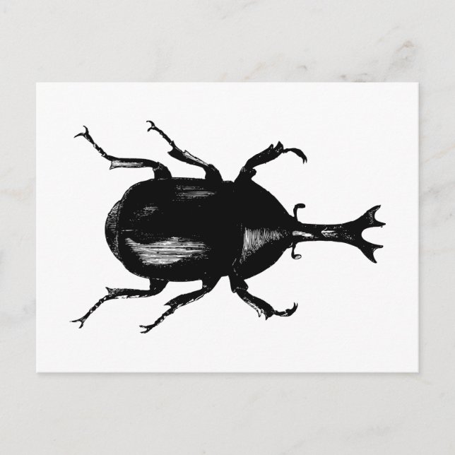 Käfer Insektenkäfer Vintage Holzgrabung Postkarte (Vorderseite)