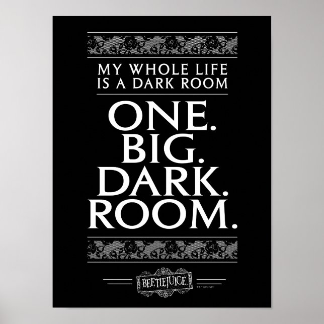 Käfer | Mein ganzes Leben ist ein dunkles Zimmer Poster (Vorne)