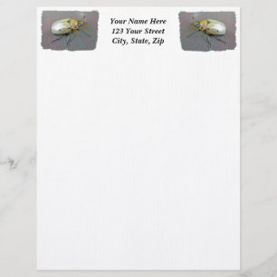 Käfer (Pelidnota punctata) Briefkopf