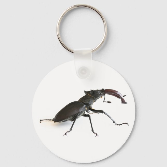 Käfer Schlüsselanhänger (Vorderseite)