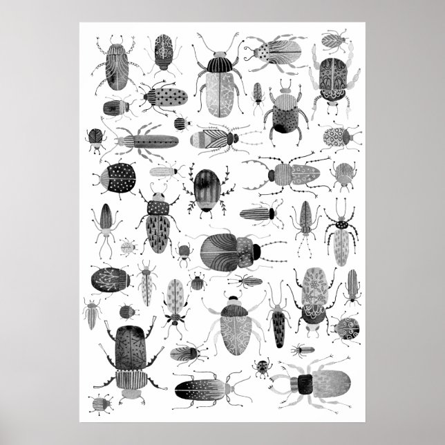 Käfer Schwarz & Weiß Poster (Vorne)