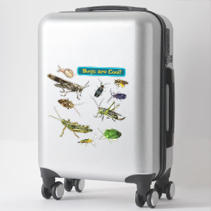 Käfer sind cool! Insekten Aufkleber