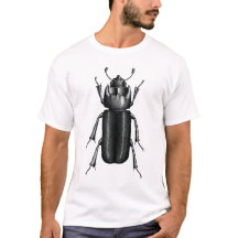 Käfer