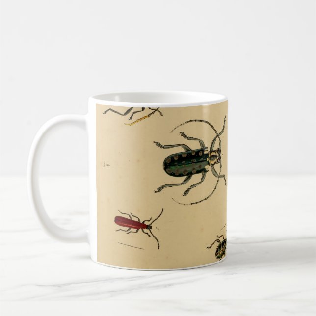 Käfer Tasse (Links)