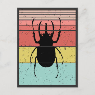 KÄFER VINTAGE INSEKT  POSTKARTE