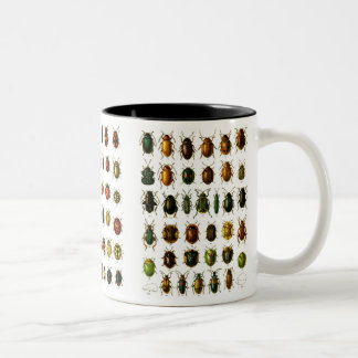 Käfer Zweifarbige Tasse