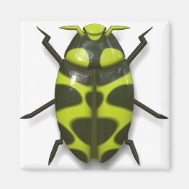 Käferinsekt niedlich magnet