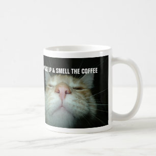 Kaffee Cat Tasse