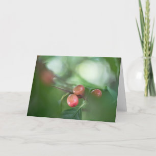 Kaffee Cherries Nature Foto Karte
