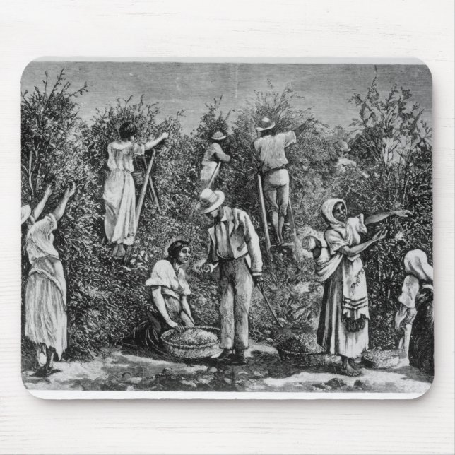 Kaffee-Ernte Mousepad (Vorne)