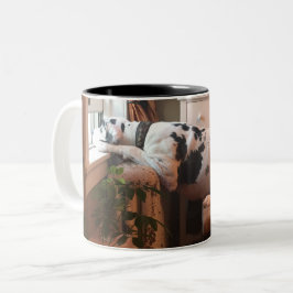 Kaffee mit Dottie! Zweifarbige Tasse