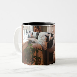 Kaffee mit Dottie! Zweifarbige Tasse