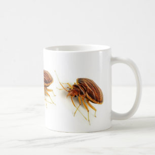Kaffee-Tasse - Cimex lectularius (Bettwanze) Kaffeetasse