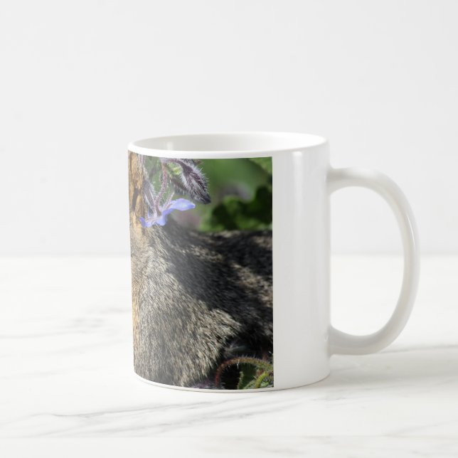 Kaffee-Tasse mit Eichhörnchen Kaffeetasse (Rechts)