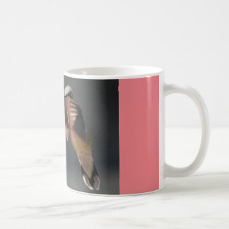 Kaffee-Tasse mit Kolibri… Erholung Kaffeetasse