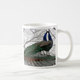 KAFFEE-TASSE MIT PEACOCK-BILD KAFFEETASSE
