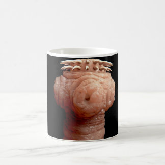Kaffee Tasse-Spirometra erinaceieuropaei Bandwurm Kaffeetasse