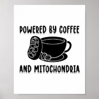 Kaffee und Mitochondrien | Geschenke der Biologie