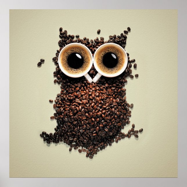 Kaffeegewächse Poster (Vorne)