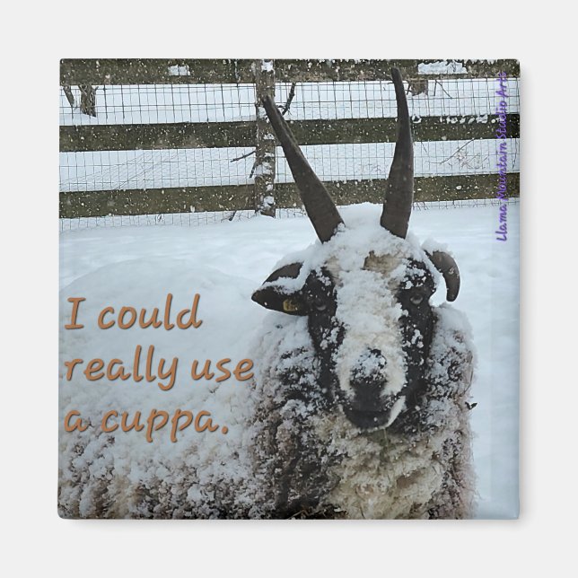 Kaffeepapiermagnet #1 - Wertvoll Magnet (Vorne)