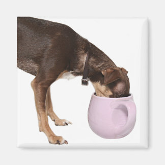 Kaffeepause Magnet