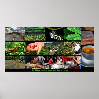 Kaffeeposter Poster