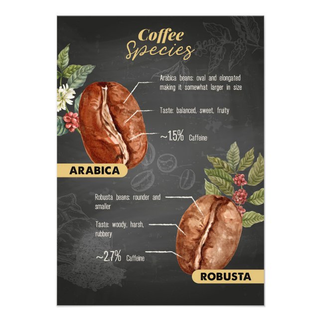 Kaffeesorten Fotodruck (Vorne)